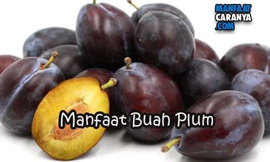 Manfaat Buah Plum Untuk Kesehataan Tubuh