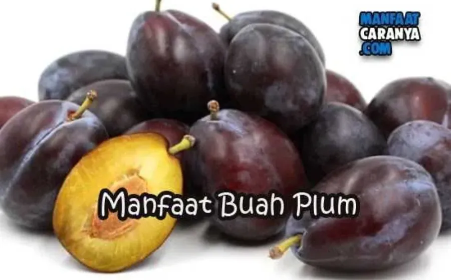 Manfaat Buah Plum Untuk Kesehataan Tubuh