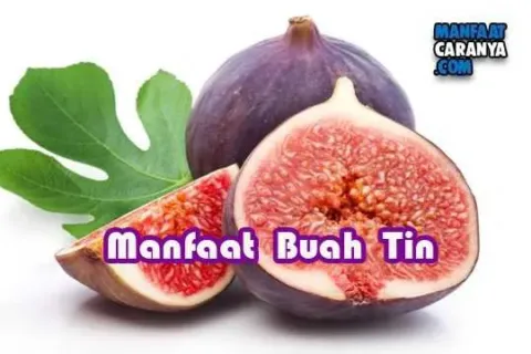 Manfaat Buah Tin Bagi Kesehatan Tubuh