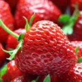 Manfaat Buah dan Sayur Berwarna merah Bagi Kesehatan dan Tubuh