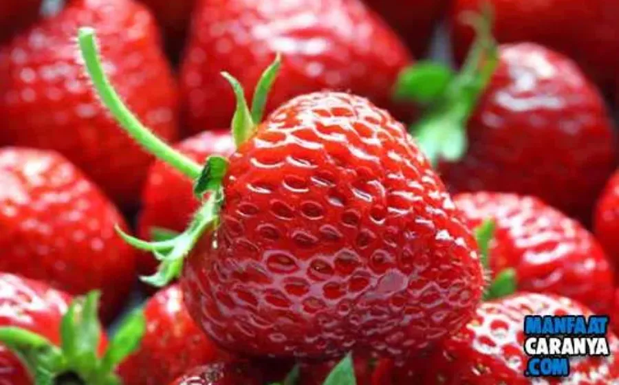 Manfaat Buah dan Sayur Berwarna merah Bagi Kesehatan dan Tubuh