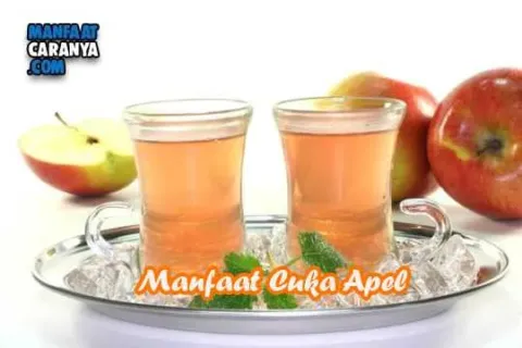 Manfaat Cuka Apel Bagi Kesehatan Dan Kecantikan