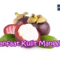 Manfaat Dan Kegunaan Kulit Manggis Untuk Kesehatan