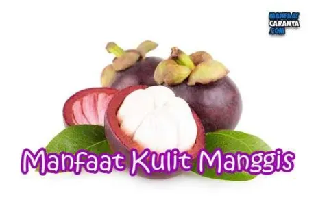 Manfaat Dan Kegunaan Kulit Manggis Untuk Kesehatan