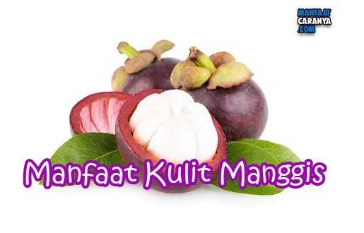 Manfaat Dan Kegunaan Kulit Manggis Untuk Kesehatan
