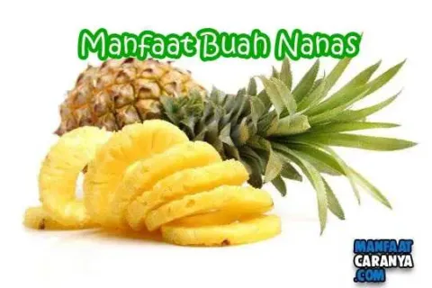 Manfaat Dan Khasiat Buah Nanas