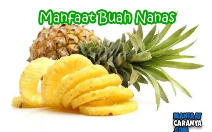 Manfaat Dan Khasiat Buah Nanas