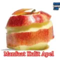 Manfaat Dan Khasiat Kulit Apel Bagi Kesehatan Tubuh