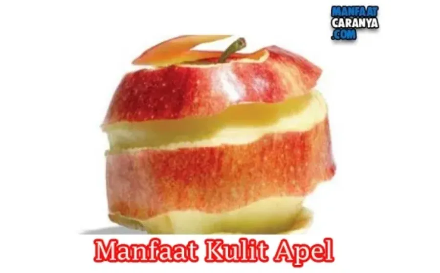 Manfaat Dan Khasiat Kulit Apel Bagi Kesehatan Tubuh