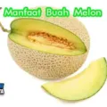 Manfaat Dan Khasiat Melon untuk Kesehatan Badan