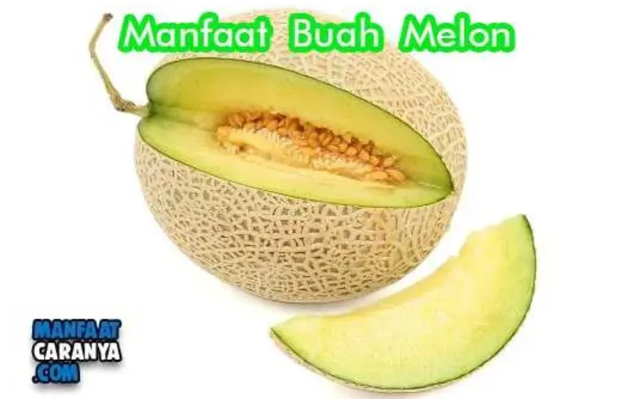 Manfaat Dan Khasiat Melon untuk Kesehatan Badan