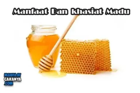Manfaat Dan kHasiat Minum Madu Bagi Kesehatan