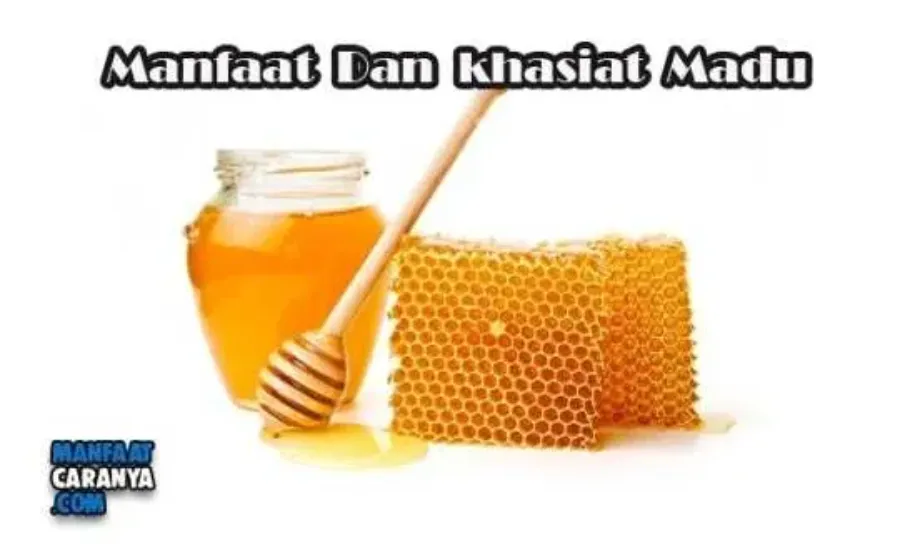 Manfaat Dan kHasiat Minum Madu Bagi Kesehatan