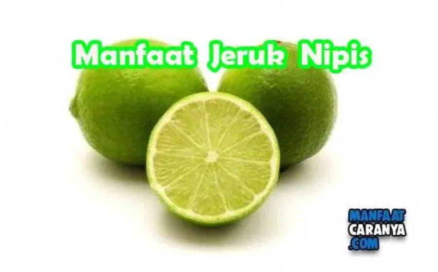 Manfaat Jeruk Nipis