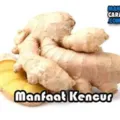 Manfaat Kencur Bagi Kesehatan