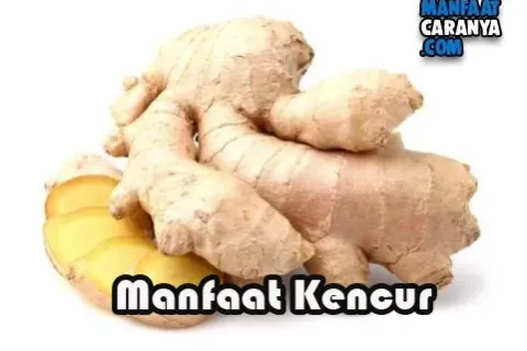 Manfaat Kencur Bagi Kesehatan