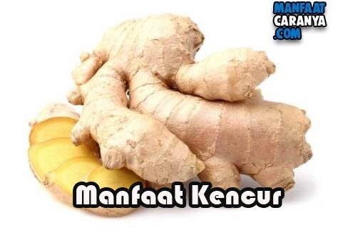 Manfaat Kencur Bagi Kesehatan