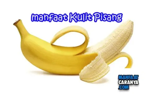 Manfaat Kulit Pisang Untuk Tubuh