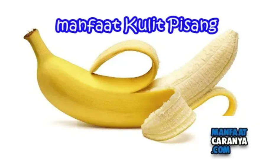 Manfaat Kulit Pisang Untuk Tubuh