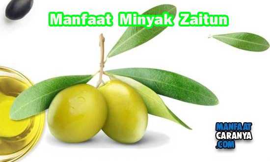 Manfaat Minyak Zaitun Bagi Kesehatan