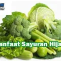 Manfaat Sayuran Hijau Bagi Kesehatan Tubuh Setiap Hari