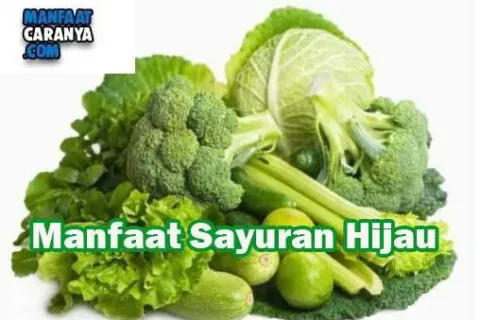 Manfaat Sayuran Hijau Bagi Kesehatan Tubuh Setiap Hari