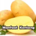 Manfaat Tanaman Kentang Untuk Kesehatan Tubuh
