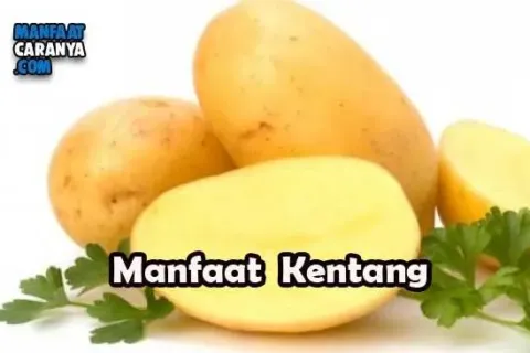 Manfaat Tanaman Kentang Untuk Kesehatan Tubuh