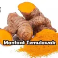 Manfaat Temulawak Bagi Kesehatan