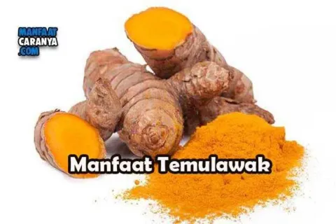 Manfaat Temulawak Bagi Kesehatan