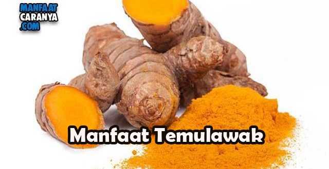 Manfaat Temulawak Bagi Kesehatan