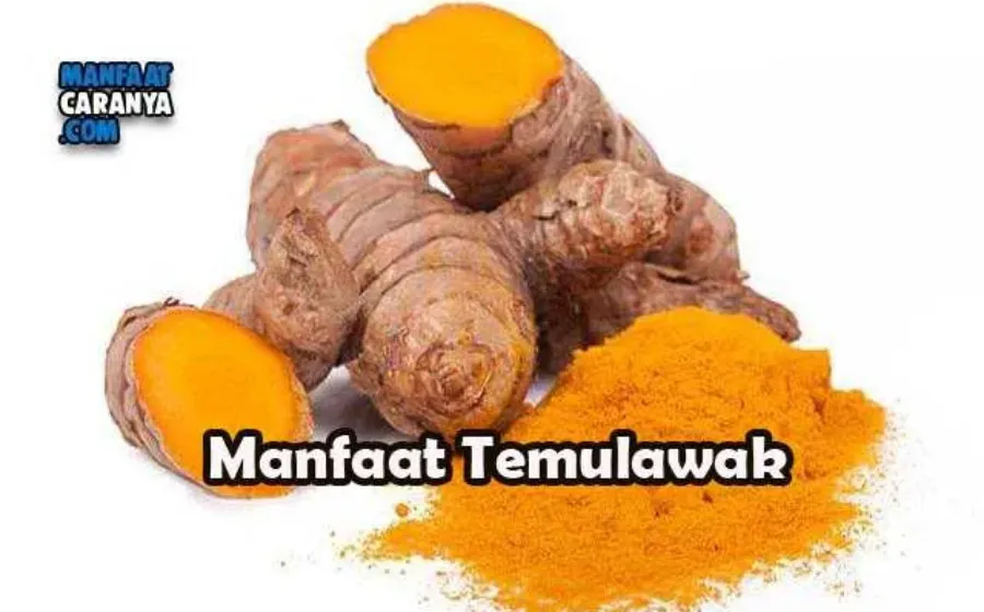 Manfaat Temulawak Bagi Kesehatan