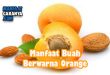 Pentingnya Manfaat Buah Berwarna Orange Bagi Kesehatan