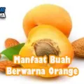 Pentingnya Manfaat Buah Berwarna Orange Bagi Kesehatan