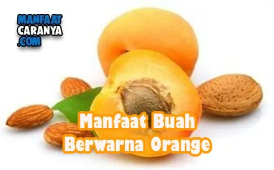 Pentingnya Manfaat Buah Berwarna Orange Bagi Kesehatan