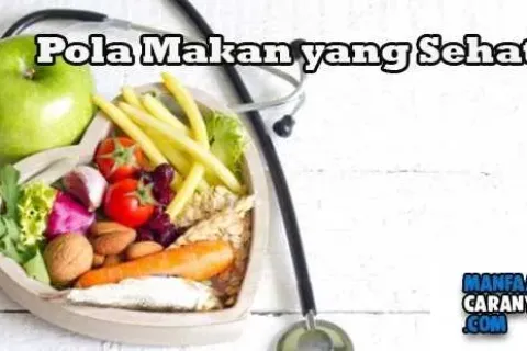 Cara Mengatur Pola Makan Yang Sehat Untuk Tubuh