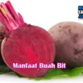 Khasiat Buah Bit Bagi Kesehatan Tubuh