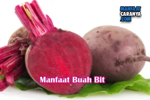 Khasiat Buah Bit Bagi Kesehatan Tubuh