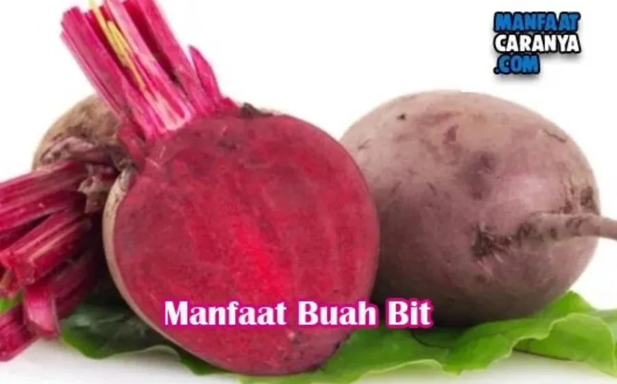 Khasiat Buah Bit Bagi Kesehatan Tubuh