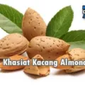 Khasiat Dan Manfaat Kacang Almond