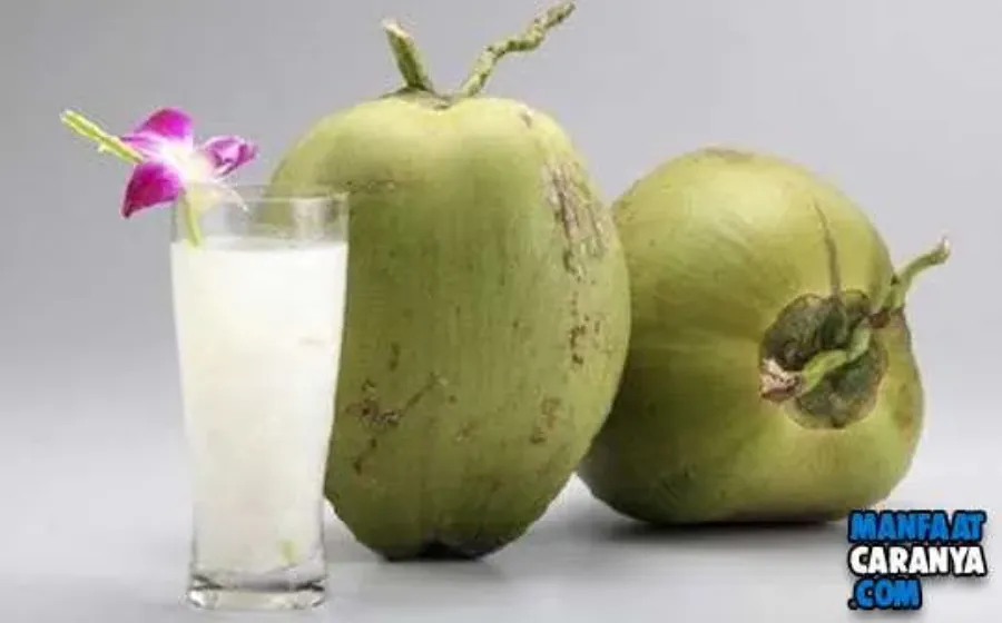 Manfaat Air Kelapa Bagi Ibu Hamil dan Janin Dalam Kandungan