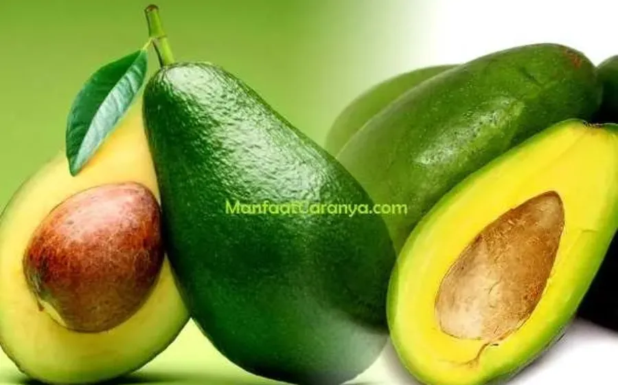 Manfaat Alpukat untuk Diabetes, Solusi Gula Darah agar Stabil