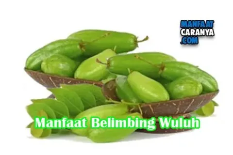 Manfaat Belimbing Wuluh Untuk Menghaluskan Kulit