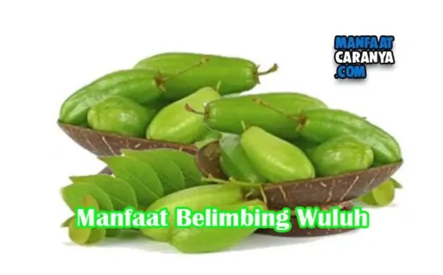 Manfaat Belimbing Wuluh Untuk Menghaluskan Kulit