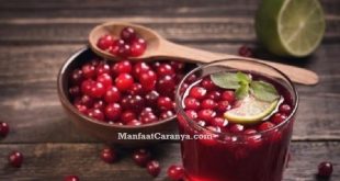 Manfaat Buah Cranberry untuk Darah Tinggi, Si Mungil Kaya Khasiat Atasi Hipertensi