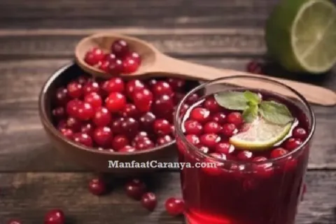 Manfaat Buah Cranberry untuk Darah Tinggi, Si Mungil Kaya Khasiat Atasi Hipertensi