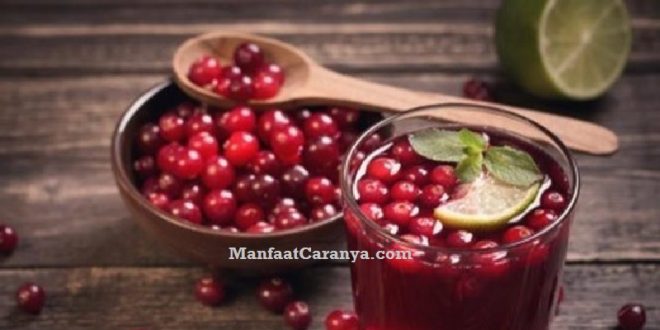 Manfaat Buah Cranberry untuk Darah Tinggi, Si Mungil Kaya Khasiat Atasi Hipertensi