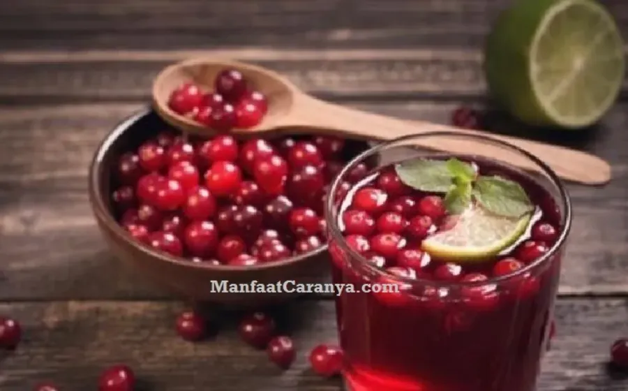 Manfaat Buah Cranberry untuk Darah Tinggi, Si Mungil Kaya Khasiat Atasi Hipertensi