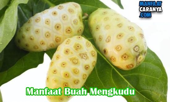 Manfaat Buah Mengkudu Bagi Kesehatan Tubuh