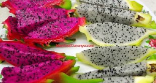 Manfaat Buah Naga untuk Kesehatan Mata, Cara Mudah Menjaga Penglihatan dengan Dragon Fruit